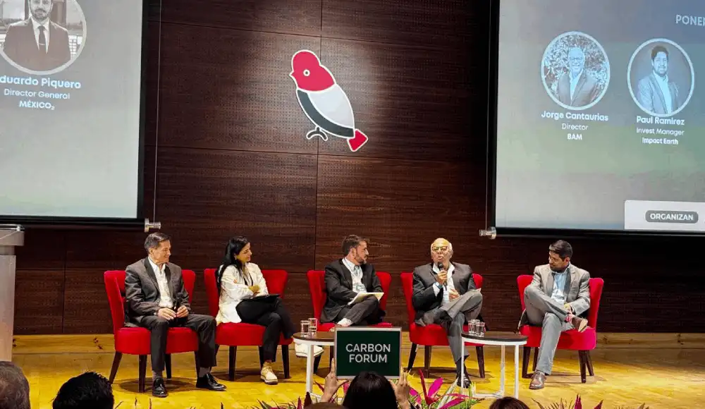 Cambios metodológicos externos amenazan la rentabilidad de los proyectos de carbono en el Perú
