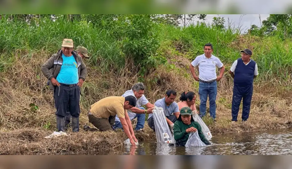 Piscicultores reciben 5,000 alevines de mota punteada