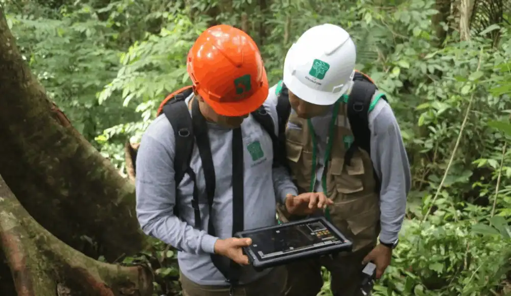 Especialistas utilizarán herramientas tecnológicas para proteger el bosque seco en el norte del país. Especialistas utilizarán herramientas tecnológicas para proteger el bosque seco en el norte del país.