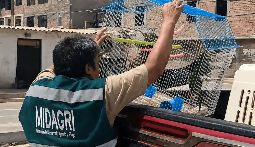 Ejemplares estaban en cautiverio ilegal y en condiciones no adecuadas para su supervivencia.