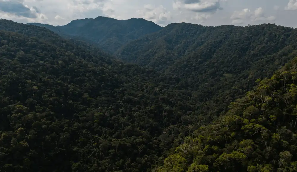 Área de Conservación Regional Aguas Calientes Maquia es la sexta ubicada en la región Amazónica. Área de Conservación Regional Aguas Calientes Maquia es la sexta ubicada en la región Amazónica.