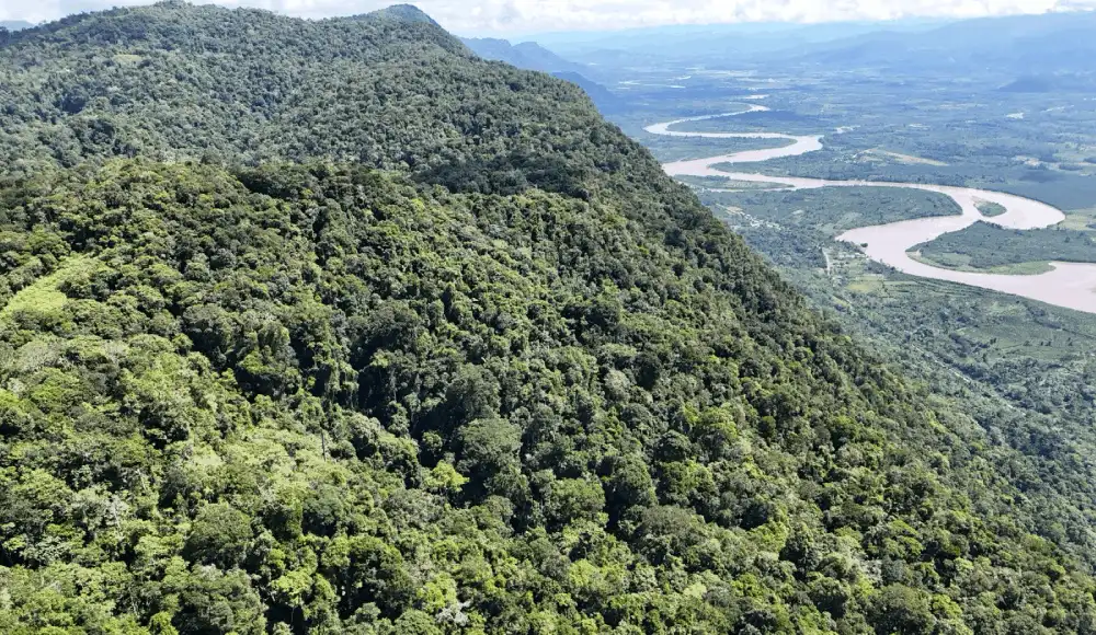 Se busca salvaguardar los bosques, la biodiversidad, y el acceso al agua. Se busca salvaguardar los bosques, la biodiversidad, y el acceso al agua.
