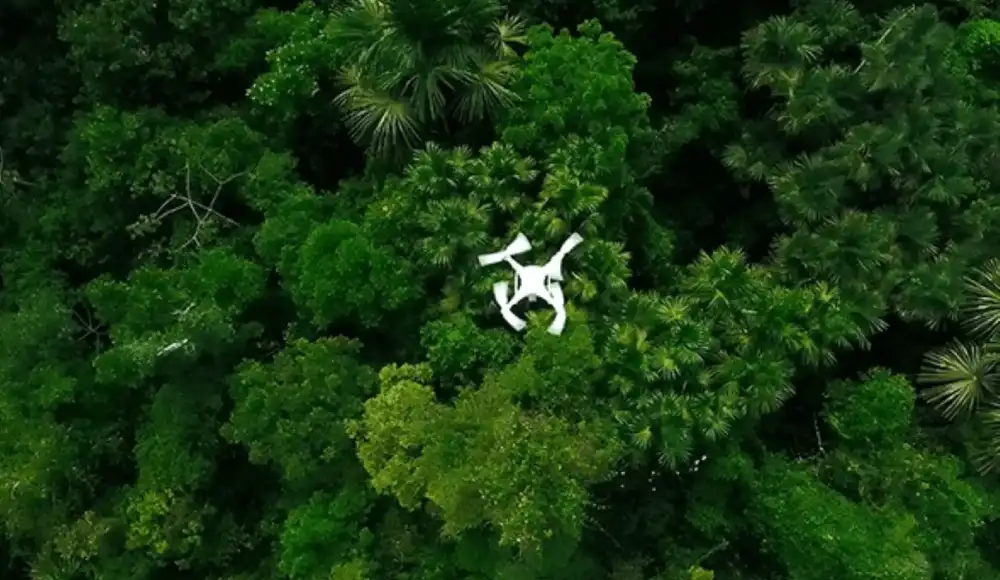 Proyecto busca asegurar la sostenibilidad de los bosques amazónicos.