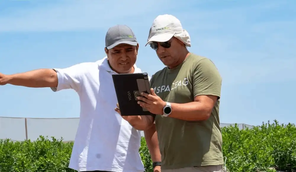 Proyectos peruanos vienen revolucionando la actividad agrícola en favor de miles de personas.