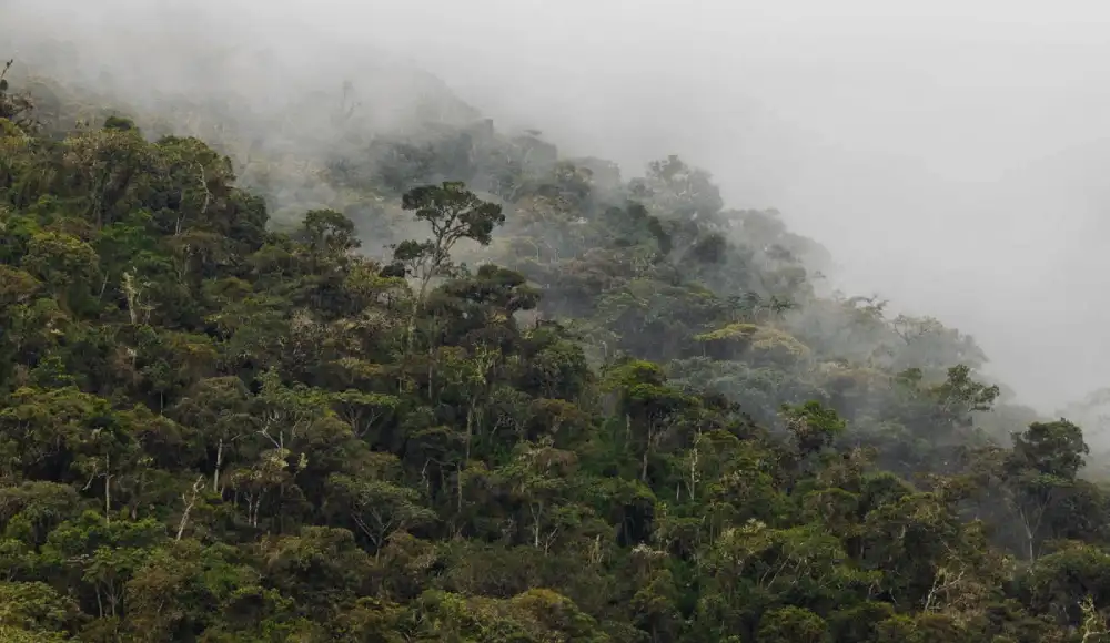 Gobierno establece primera Área de Conservación Regional de Pasco.
