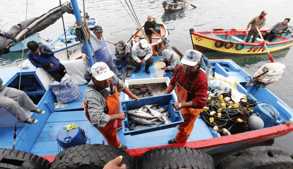 Sanipes fortalece la pesca artesanal en la región Arequipa.