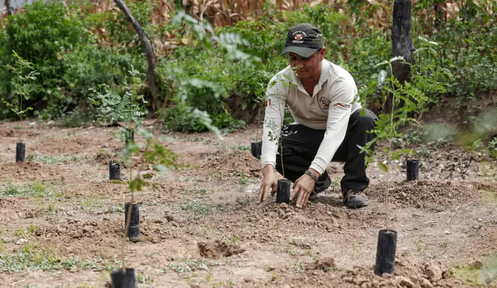 Impulsan reforestación para asegurar agua y restaurar ecosistemas.