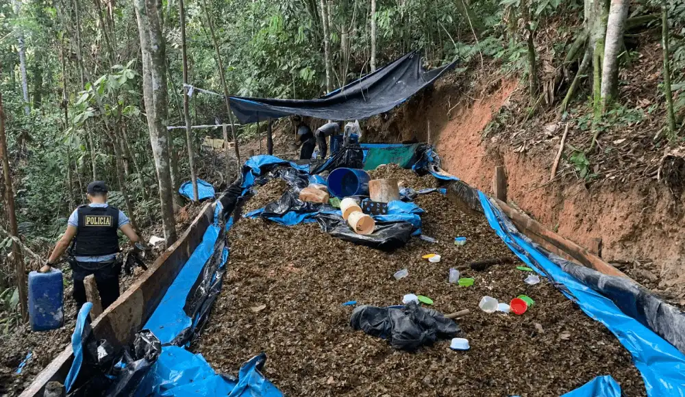 Huánuco: destruyen laboratorio de droga y frustran producción de PBC.
