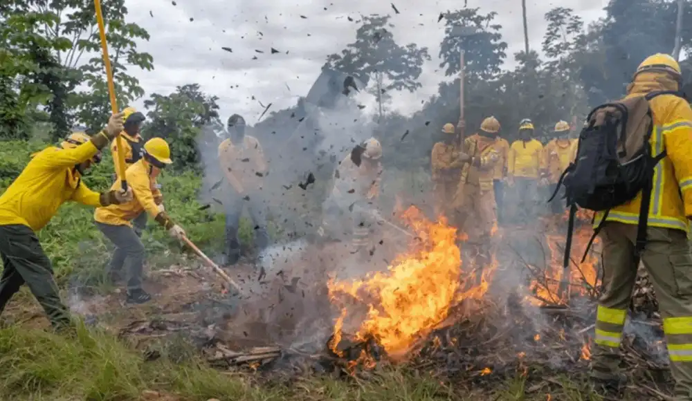 Minam fortalece prevención de incendios forestales en regiones. Minam fortalece prevención de incendios forestales en regiones.