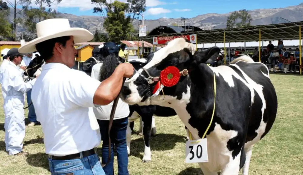 Fongal 2026 impulsa la ganadería y el desarrollo de Cajamarca.