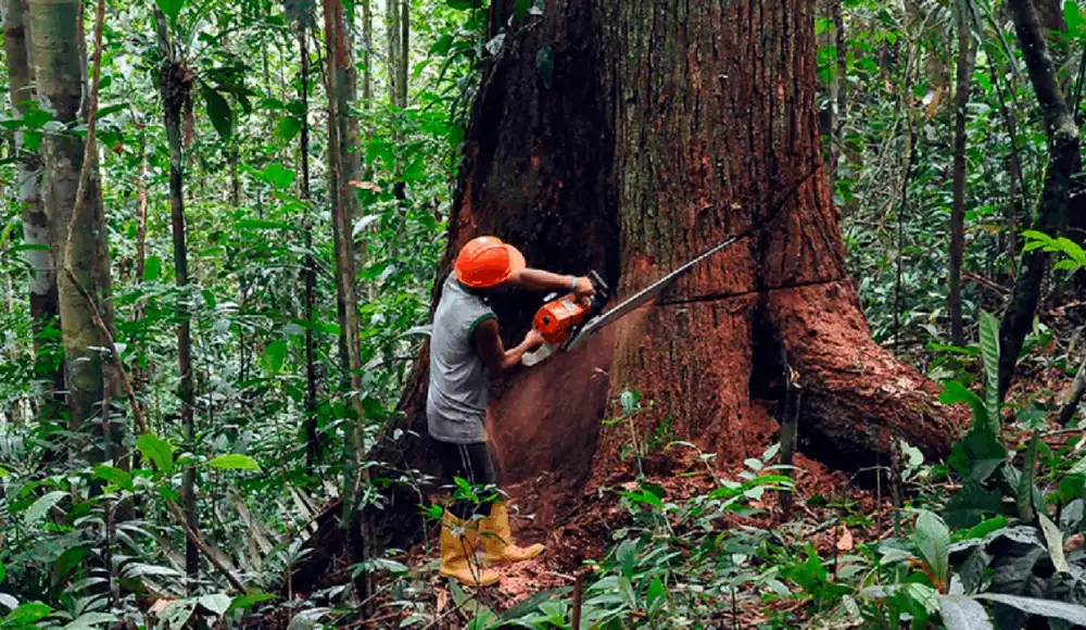 Líderes religiosos exigen proteger la Amazonía peruana. Líderes religiosos exigen proteger la Amazonía peruana.
