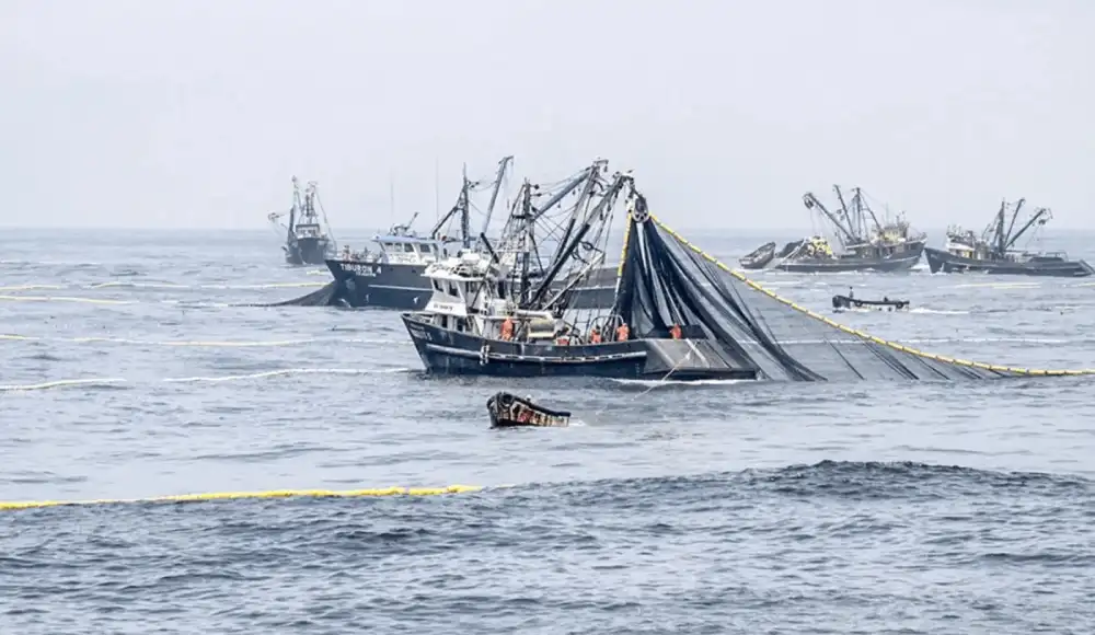 Perú pierde más de S/ 1200 millones al año por pesca ilegal. Perú pierde más de S/ 1200 millones al año por pesca ilegal.