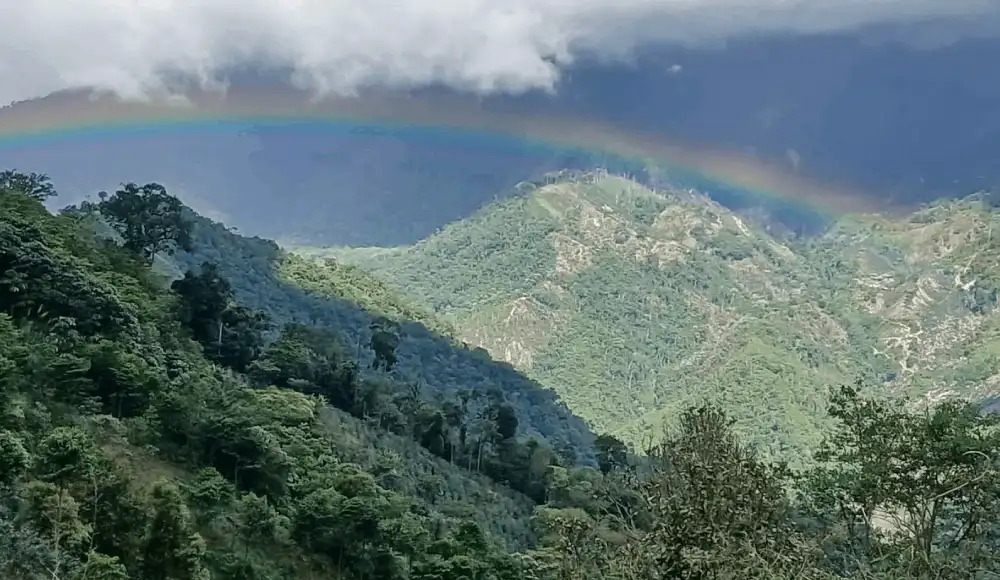 Bosque Tijae–Río Nieva protegerá agua y biodiversidad amazónica.