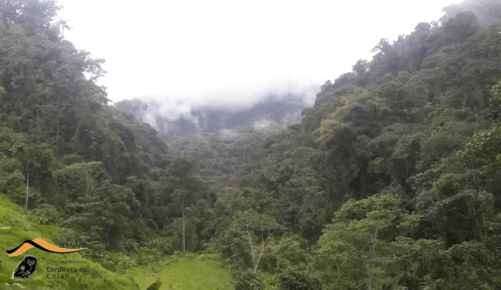 Cordillera de Colán tendrá nuevo Plan Maestro hasta 2031. Cordillera de Colán tendrá nuevo Plan Maestro hasta 2031.