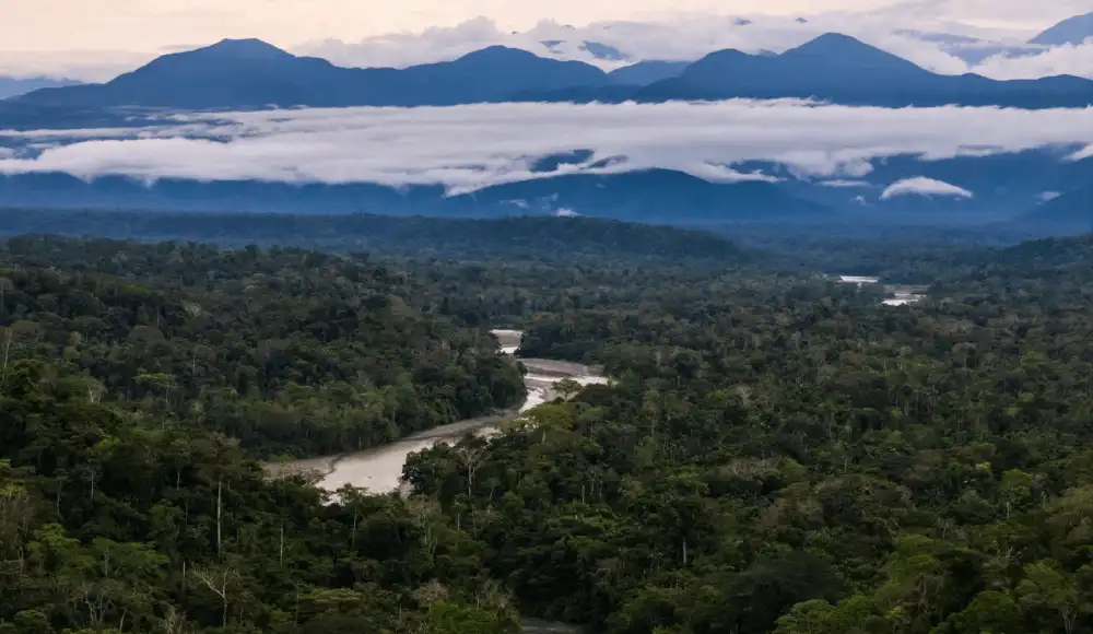 Bosques del Araza: Cusco avanza en su protección regional