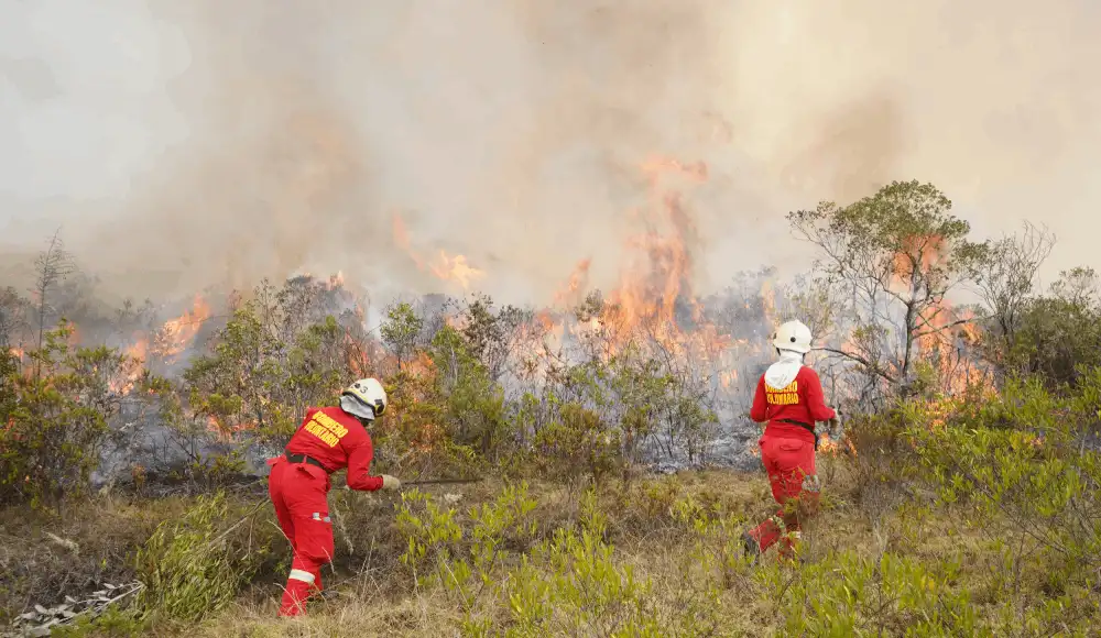 Incendios forestales y estrés hídrico amenazan San Martín