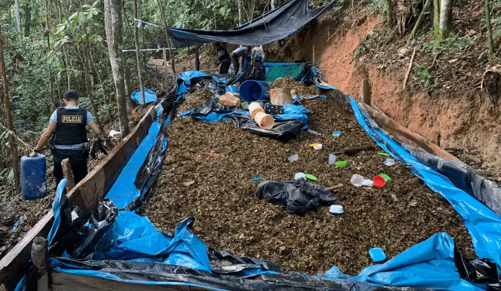 Huánuco: destruyen laboratorio de PBC con 2 toneladas de coca Huánuco: destruyen laboratorio de PBC con 2 toneladas de coca