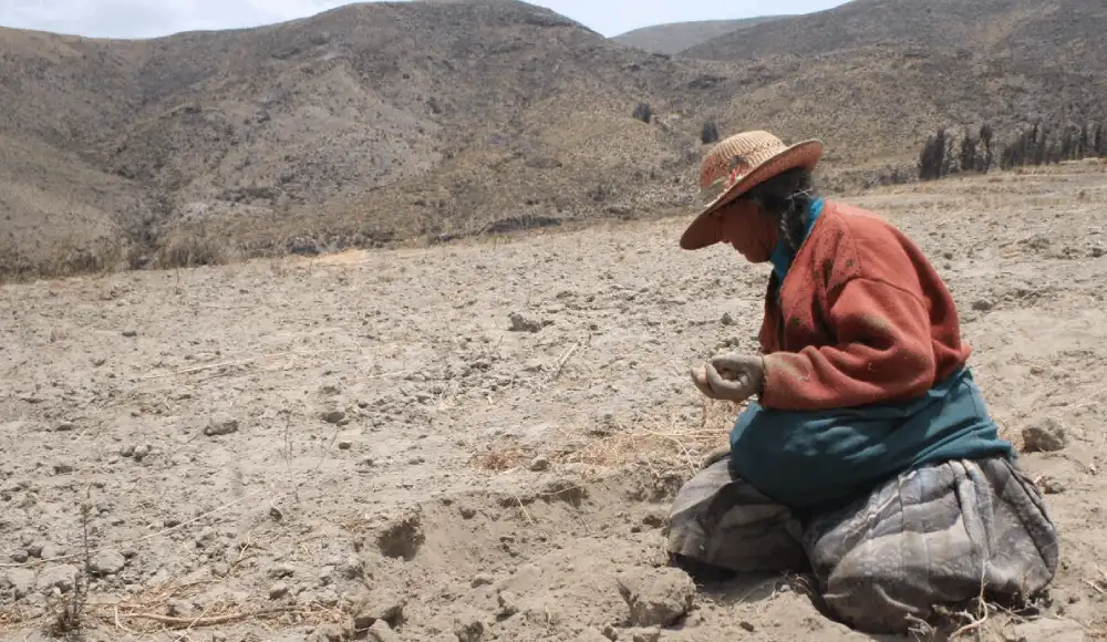 Sequías por El Niño ponen en riesgo a 4.3 millones en Perú Sequías por El Niño ponen en riesgo a 4.3 millones en Perú