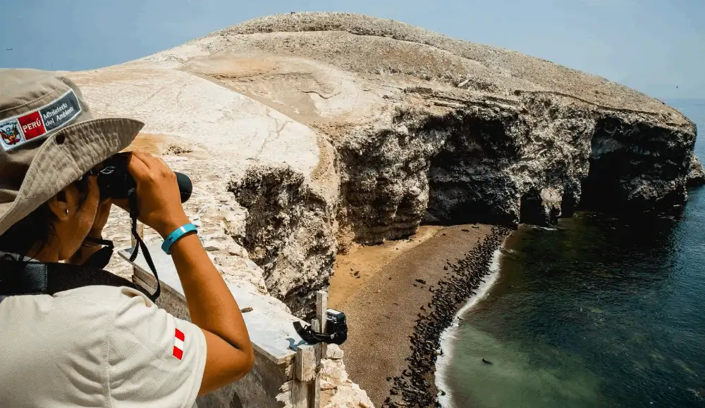 Protección de Reserva Nacional de Paracas se verá en mesa de diálogo