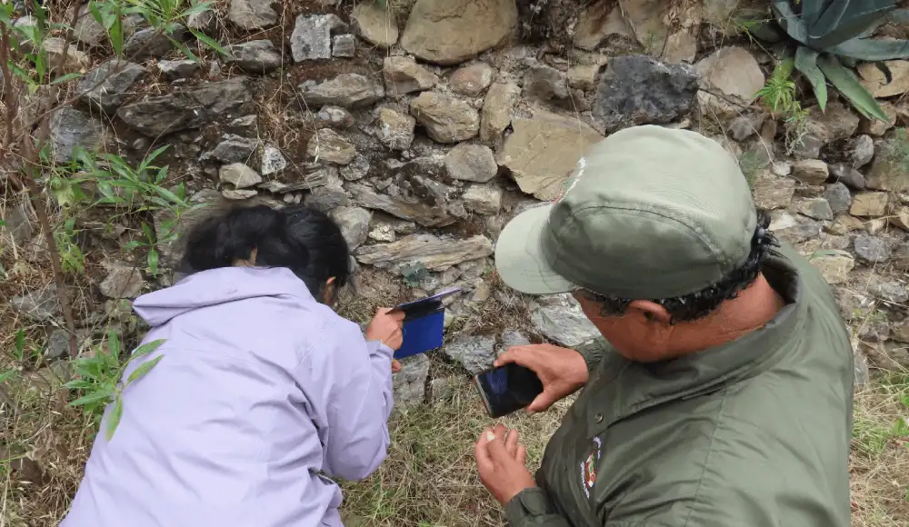 Nor Yauyos-Cochas: cámaras trampa revelarán fauna oculta
