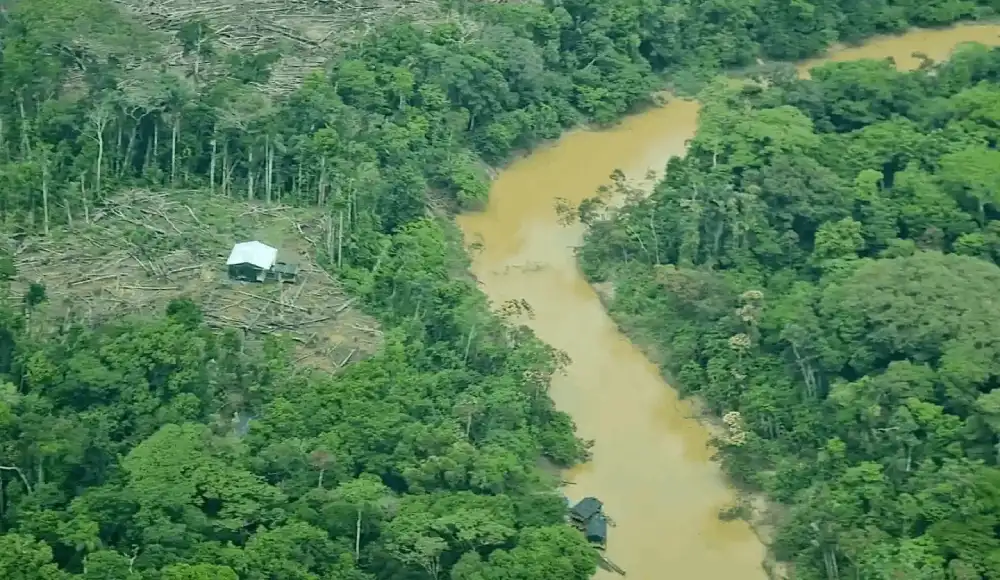 Crisis y oportunidades en la Amazonía frente al reto económico e institucional de frenar la deforestación