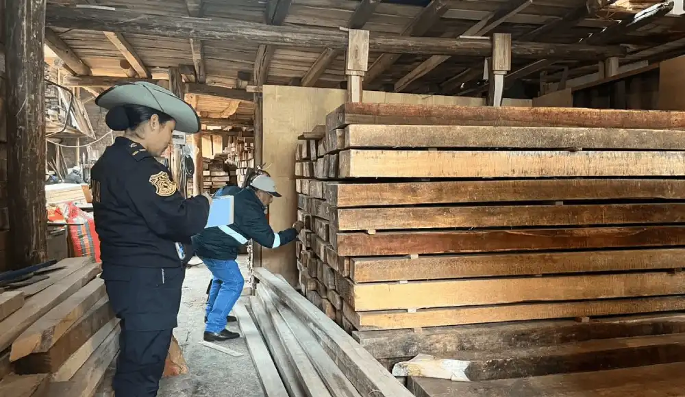 San Martín: sentencian a tres personas por tráfico ilegal de madera