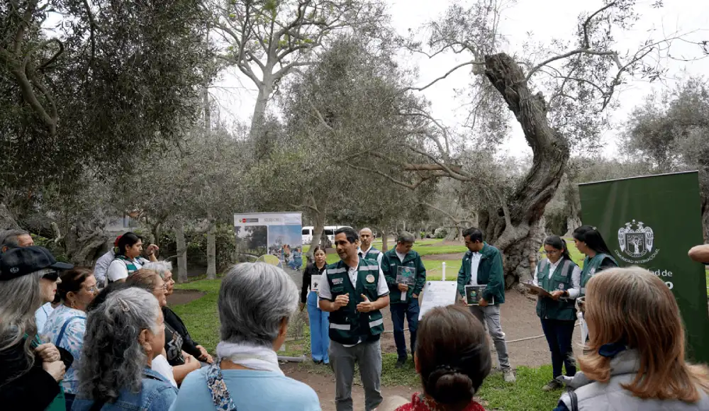 Perú registra 245 árboles patrimoniales por su valor natural