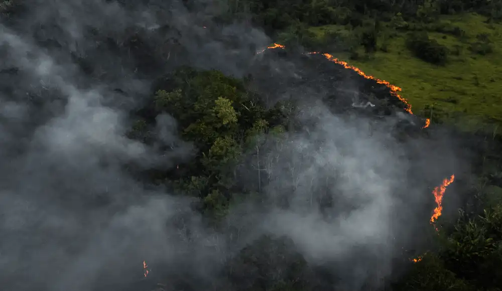 Piden evitar quemas ante posibles periodos secos en la Amazonía Piden evitar quemas ante posibles periodos secos en la Amazonía