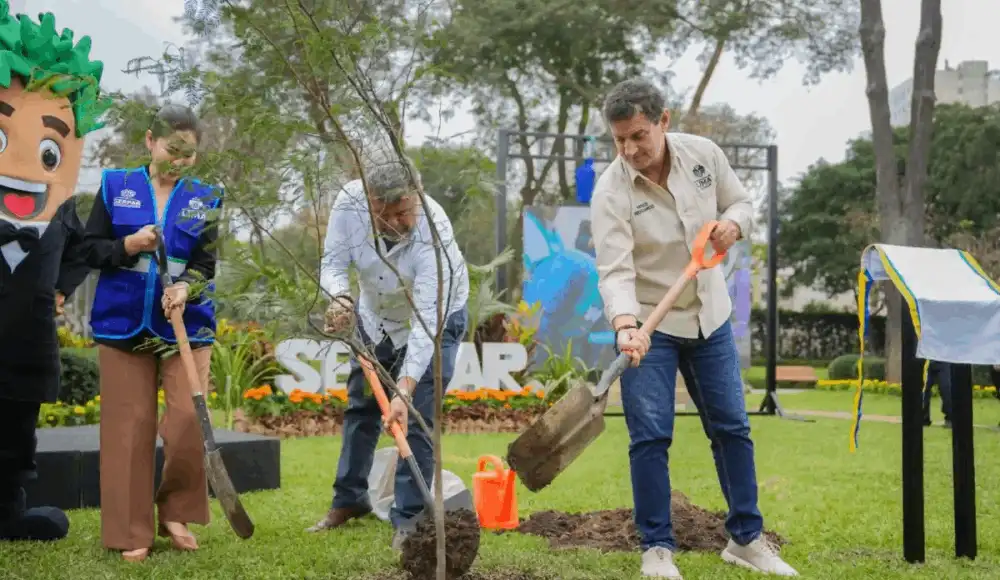 Serpar alcanza un millón de árboles y amplía áreas verdes en Lima Serpar alcanza un millón de árboles y amplía áreas verdes en Lima