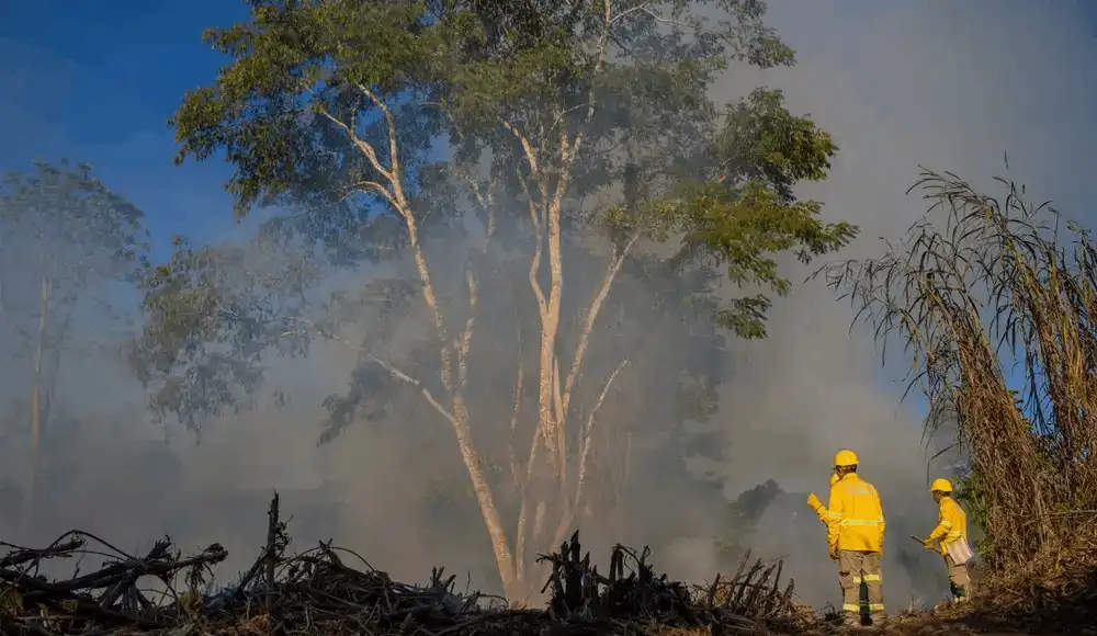 Incendios forestales: central asháninka usará satélite para evitarlos Incendios forestales: central asháninka usará satélite para evitarlos