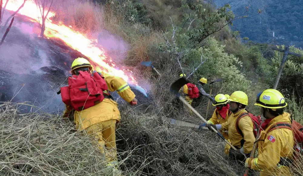MINAM impulsa estrategia nacional contra incendios forestales