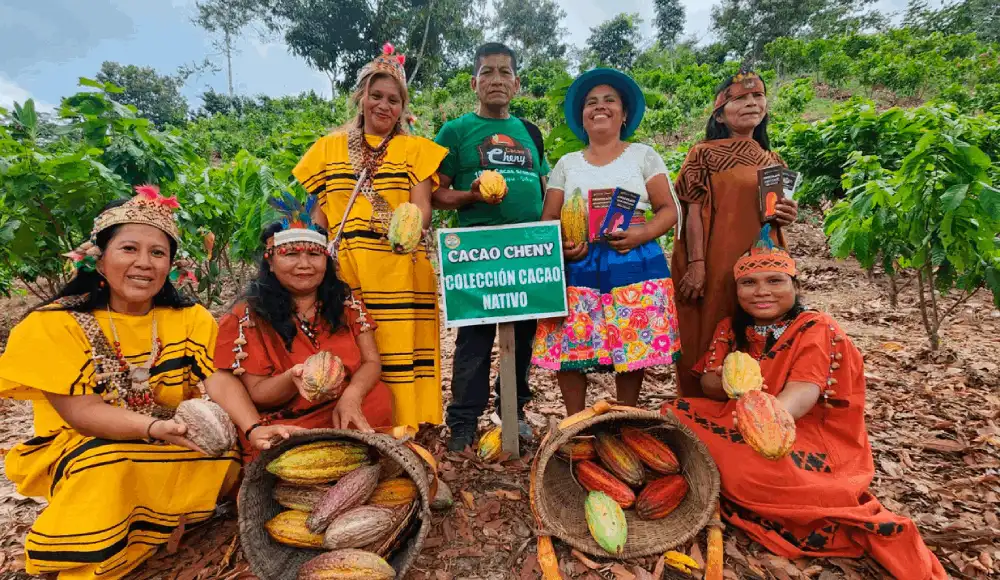 Asháninkas de Junín innovan con cacao, pijuayo y miel Asháninkas de Junín innovan con cacao, pijuayo y miel