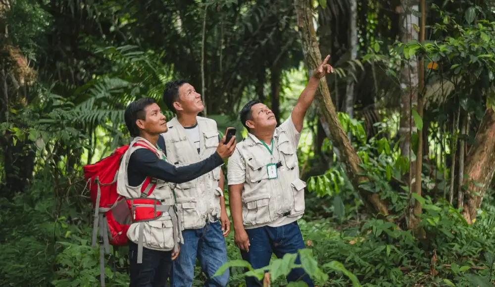 Perú implementará monitoreo del cambio climático en bosques Perú implementará monitoreo del cambio climático en bosques
