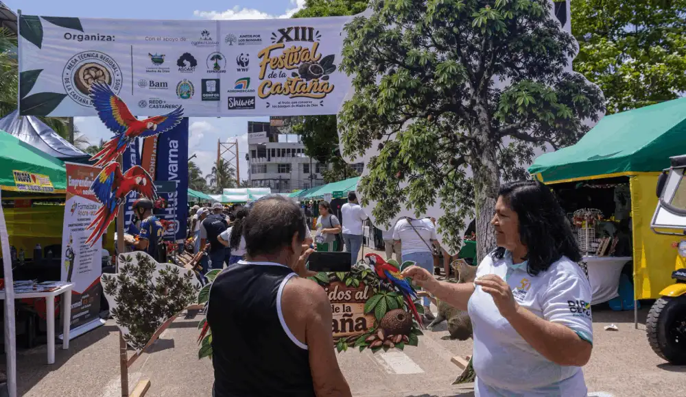 Castaña amazónica conserva bosques en Madre de Dios Castaña amazónica conserva bosques en Madre de Dios