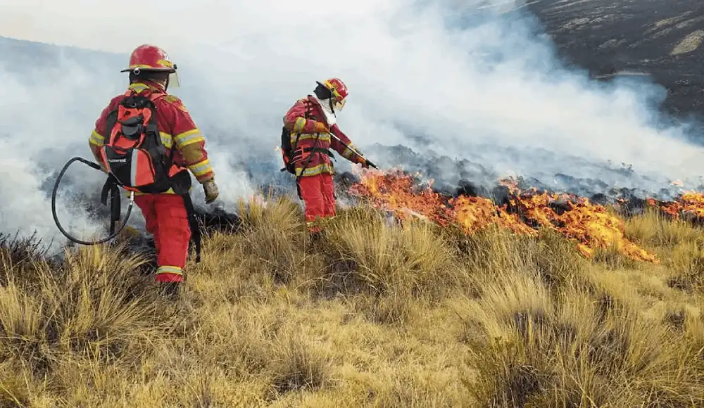 Incendios forestales: El Niño ampliaría la temporada en 2027 Incendios forestales: El Niño ampliaría la temporada en 2027