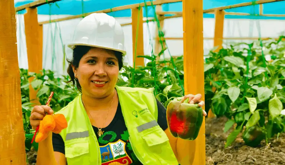 Negocios verdes: MINAM actualiza lineamientos clave Negocios verdes: MINAM actualiza lineamientos clave