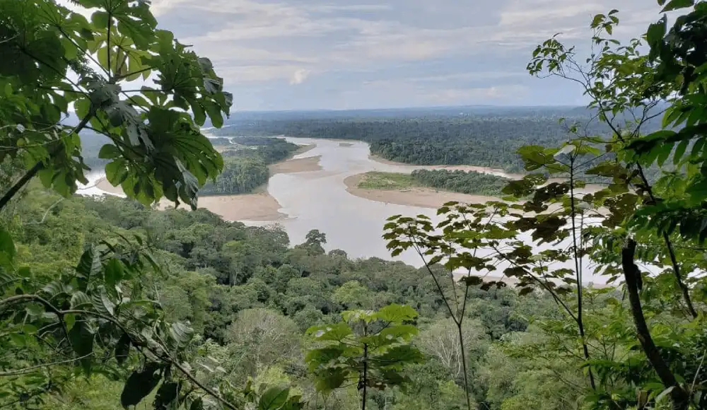Masivo rechazo a proyecto de ley que permitiría extracción de hidrocarburos en Bahuaja Sonene y amenazaría a pueblos aislados Masivo rechazo a proyecto de ley que permitiría extracción de hidrocarburos en Bahuaja Sonene y amenazaría a pueblos aislados