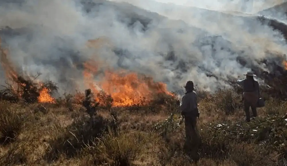Quemas agrícolas elevan riesgo de incendios forestales en Perú Quemas agrícolas elevan riesgo de incendios forestales en Perú
