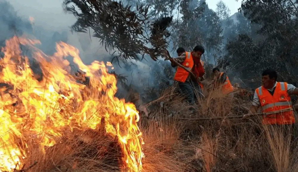 Alerta roja por incendios forestales en nueve regiones del Perú Alerta roja por incendios forestales en nueve regiones del Perú