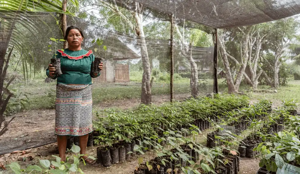 Minam reconoce a comunidades por proteger ecosistemas Minam reconoce a comunidades por proteger ecosistemas