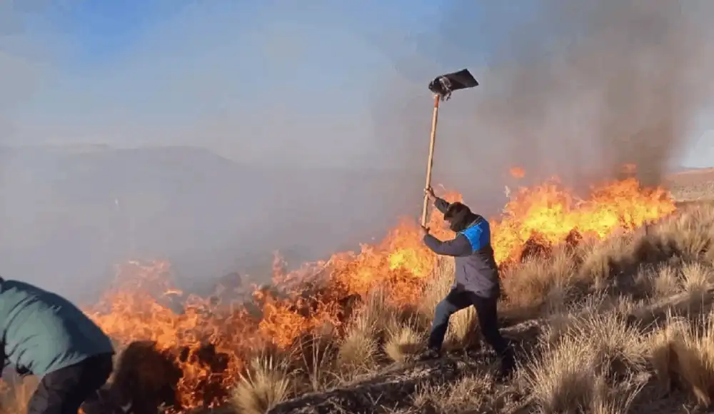 Espinar: incendios forestales arrasan pastizales y matan animales