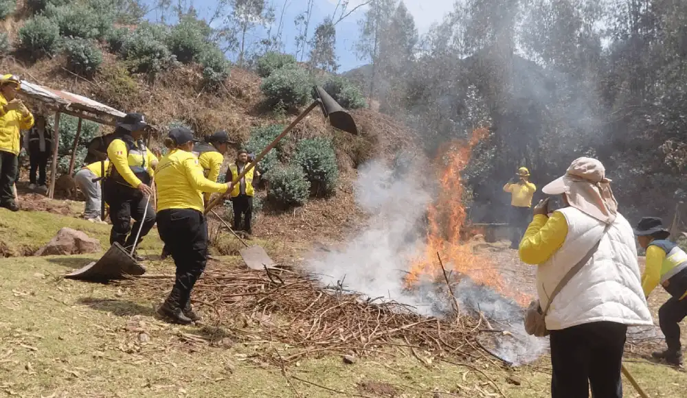 Cusco: Serfor capacitará a más de 400 brigadistas contra incendios Cusco: Serfor capacitará a más de 400 brigadistas contra incendios
