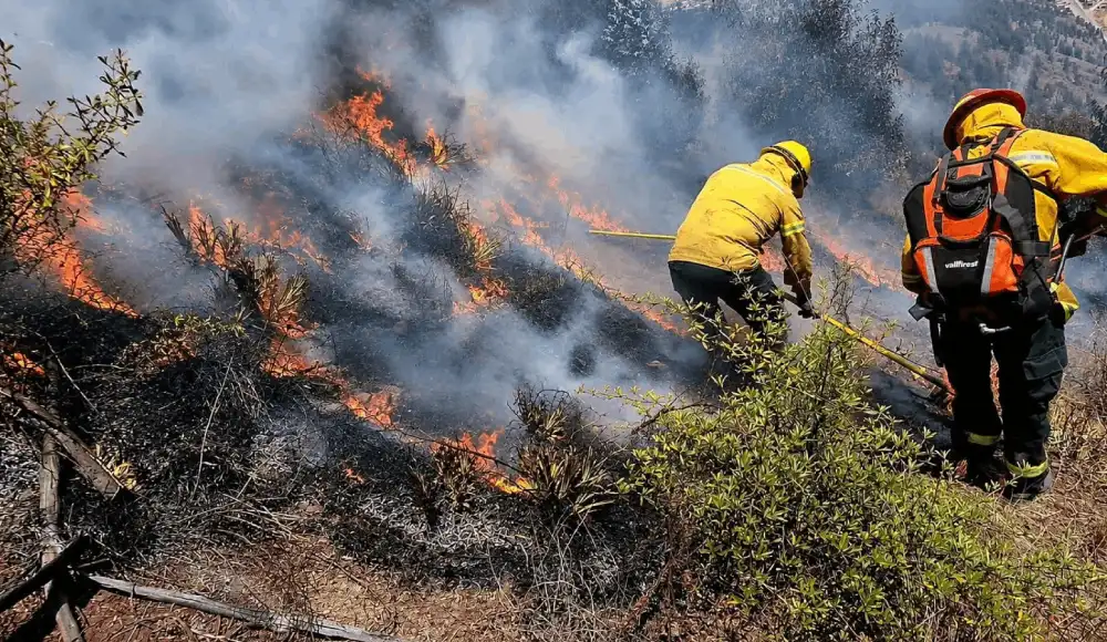 Cusco: tres incendios forestales devastan Calca y La Convención Cusco: tres incendios forestales devastan Calca y La Convención