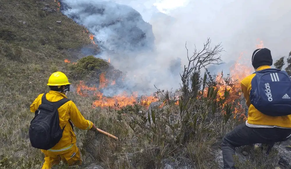 Reportan nuevos incendios forestales en cinco regiones del país Reportan nuevos incendios forestales en cinco regiones del país