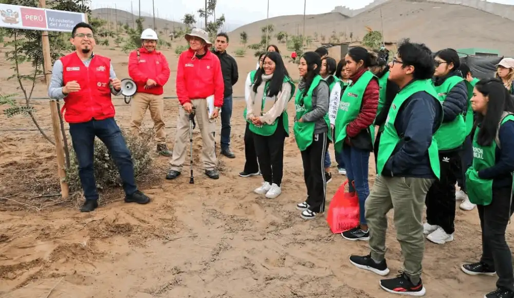 Ancón: proteger tillandsias tras retiro de 177 kilos de basura Ancón: proteger tillandsias tras retiro de 177 kilos de basura