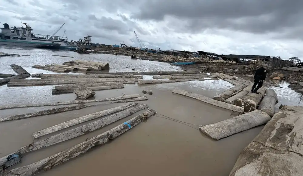 incautan 7.312 pies tablares de madera en el río Ucayali