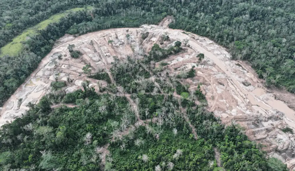 Panguana: La minería ilegal frena casi seis décadas de ciencia y amenaza de muerte a defensores ambientales