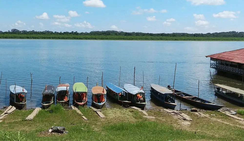 Laguna Yarinacocha: presentan plan para frenar la contaminación Laguna Yarinacocha: presentan plan para frenar la contaminación