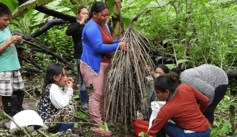 Alto Purús: comunidades indígenas impulsan conservación y desarrollo