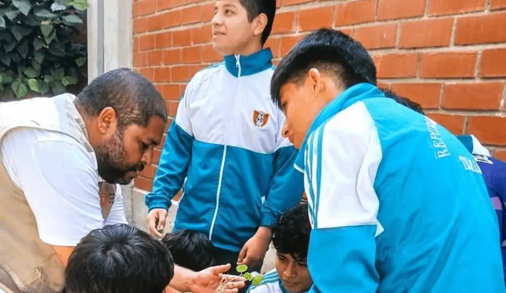 Escolares cultivan algodón nativo para recuperar saberes ancestrales Escolares cultivan algodón nativo para recuperar saberes ancestrales
